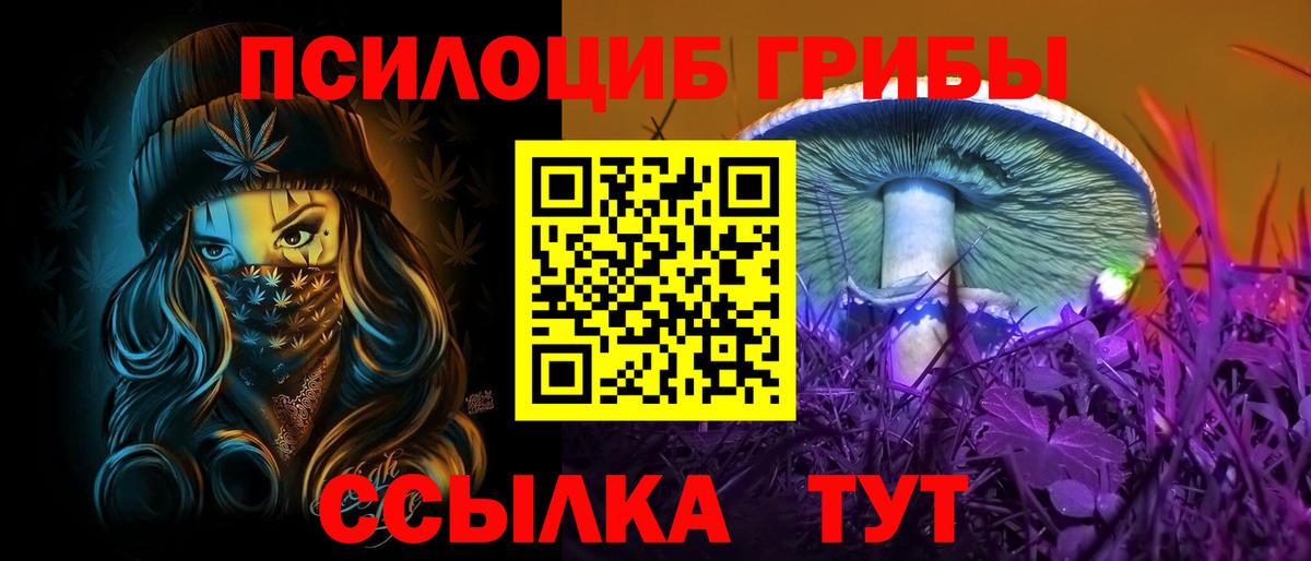Галлюциногенные грибы Psilocybine cubensis Новоалтайск